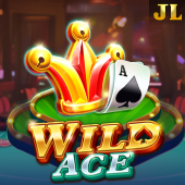 Wild Ace slot on big bunny apk